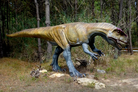 Фото: Dino Parque в Лориньяне